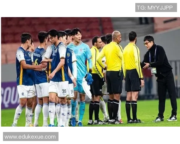 上海排球队状态引发热议球迷对球队表现分歧明显