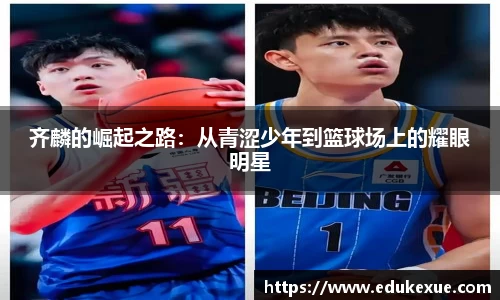 球速体育平台登录入口